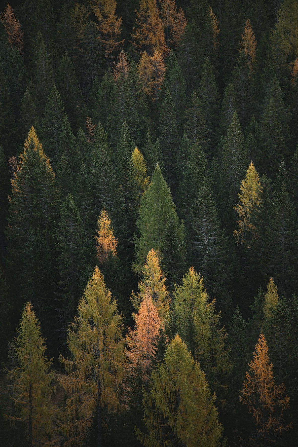 Winding river through a mountain valley — a long journey, changing course without losing direction